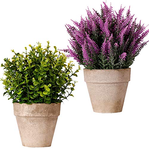 FagusHome Plantas Artificiales en Macetas 2 Piezas Plantas de Eucalipto Rosemary Plants Artificiales de Lavanda en Macetas Plástico para Decoración (A)