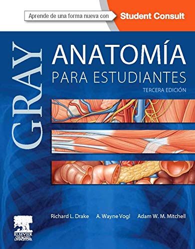 Gray. Anatomía Para Estudiantes - 3ª Edición