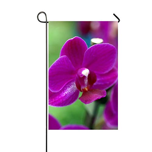 hongwei Verano Personalidad Violeta Orquídeas Jardín Bandera Poliéster Bandera al Aire Libre Fiesta en casa - Impresión dúplex
