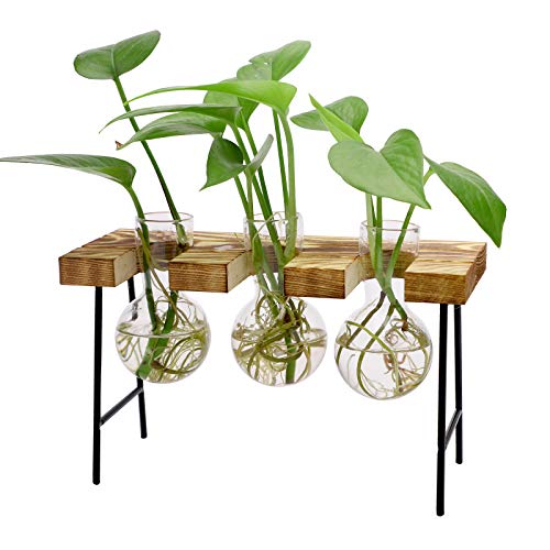 Jarrón de cristal para escritorio, 3 botellas de cristal transparente con banco de escritorio, jarrones hidropónicos, floreros de bellota de vidrio para el hogar, mesa, jardín,decoración de interiores Jarrón de cristal para escritorio, 3 botellas de cristal transparente con banco de escritorio, jarrones hidropónicos, floreros de bellota de vidrio para el hogar, mesa, jardín,decoración de interiores