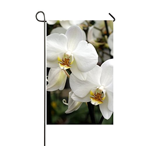 MERCHA - Bandera de Verano, Diseño de Orquídeas Blancas para Jardín, poliéster, Bandera para Exteriores, Fiesta en casa, Impresión Dúplex