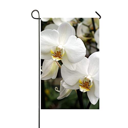 Personalidad de Verano Orquídeas Blancas Jardín Bandera Poliéster Bandera al Aire Libre Fiesta en casa - Impresión dúplex