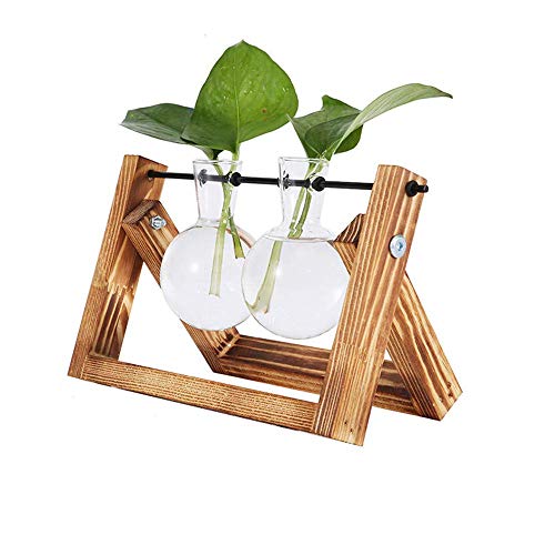 QINGJIANG - Planta de cristal hidropónico para plantas de escritorio transparente con soporte de madera giratorio para decoración del hogar (madera retro + 2 jarrón)