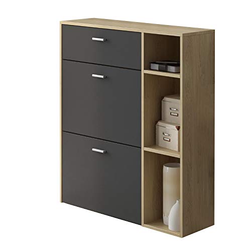 SelectionHome - Armario Zapatero, color estructura Puccini, color Gris Antracita en las 2 puertas basculantes y el cajón, modelo Wind, medidas: 90 cm (ancho) x 101.5 cm (alto) x 26 cm (fondo) SelectionHome - Armario Zapatero, color estructura Puccini, color Gris Antracita en las 2 puertas basculantes y el cajón, modelo Wind, medidas: 90 cm (ancho) x 101.5 cm (alto) x 26 cm (fondo)