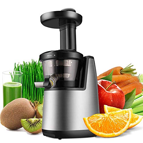 vertice Exprimidor de Prensa en Frío Exprimidor de Masticación Exprimidor Lento Fabricante Exprimidor Eléctrico Vertical de Frutas Verduras Frutas Y Verduras Wheatgrass con Tazón Grande para Exprimi