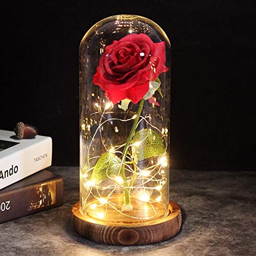 2021 LED encantado Galaxy Rose Eterna 24 K flor de lámina de oro con cadena de luces en cúpula para regalo de Navidad y San Valentín (color: marrón base roja 2)