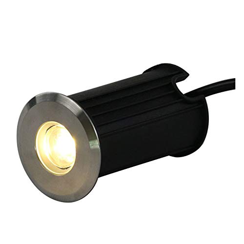 Foco LED Subacuático, Mini Foco Empotrable Suelo Exterior IP68 Acero Inoxidable 304 85-265V para Al Aire Libre, Escalera, Piscina, Submarino Decoración (Color : Red Light, Size : 42mm-1w)