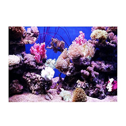 Fondo de acuario HD Ocean fondo marino coral Wallpaper 3D Effect Adhesivo Mundo subacuático fondo decoración para acuario (61 x 41 cm)