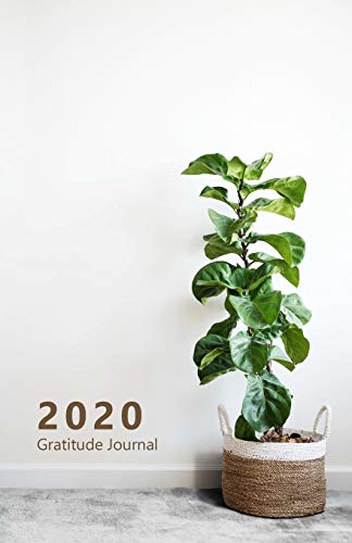 Gratitude Journal 2020: Take 5 minutes per day to change your life. Cherish good moments, focus on positive things, be calm, relax. 8.5’ x 5.5’. (Half ... room decoration, plant. Soft matte cover).