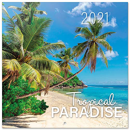 Grupo Erik CP21049 - Calendario de pared 2021 Tropical Paradise, 30x30 cm
