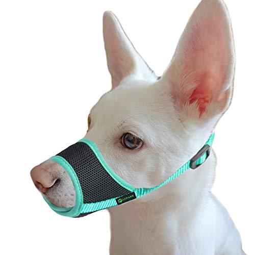 ILEPARK Bozal para Perros con Malla Transpirable, contra Mordeduras y Antiladridos Correa Ajustable para Perros Grandes, Medianos y Pequeños (XS, Verde) ILEPARK Bozal para Perros con Malla Transpirable, contra Mordeduras y Antiladridos Correa Ajustable para Perros Grandes, Medianos y Pequeños (XS, Verde)
