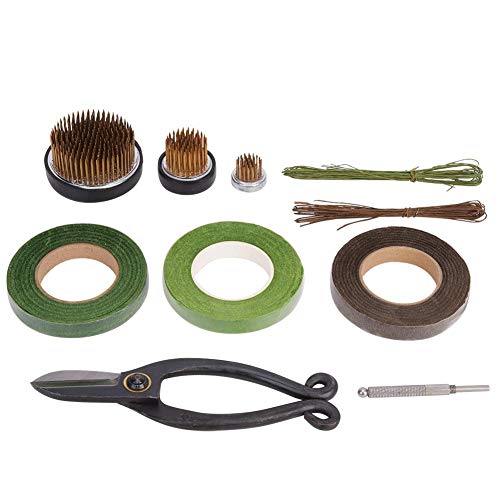 Kenzan Frog Round Flower Needle Holder, Metal Flower Arranging Frog Spiky Frog Herramientas fijas Floral Arranging Pin Holder para principiantes/amantes de las flores, paquete de 3 (S/M/L) Kenzan Frog Round Flower Needle Holder, Metal Flower Arranging Frog Spiky Frog Herramientas fijas Floral Arranging Pin Holder para principiantes/amantes de las flores, paquete de 3 (S/M/L)