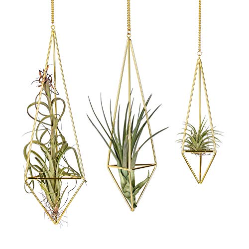 Knik Glass Soporte para plantas de aire colgante de metal Tillandsia, maceta de cactus suculentos, cestas colgantes con forma de pirámide geométrica, en color dorado, paquete de 3 (3 variadas)