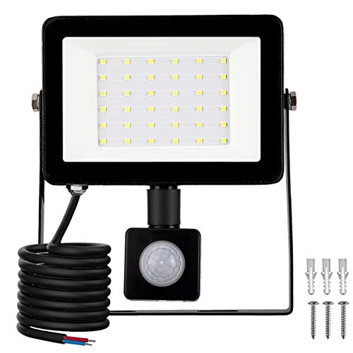 LED Foco Exterior con Sensor Movimiento, Proyector Led Impermeable IP65 Floodlight Led Foco Blanco Frío 6500K Exterior Iluminación para Patio, Almacén, Camino, Jardín (30W, 1Pack)