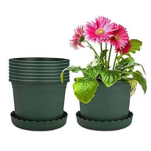 Mengxin 8 Piezas 23CM Macetas Plastico Pequeñas con Platillo Jardineras Exterior Verde Planta Plastico Redonda para Plantas, Flores y Jardinería de Interior (Grande)