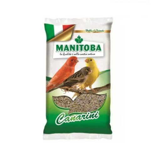Mezclador canarios 1 kg alimento con semillas y galleta Manitoba