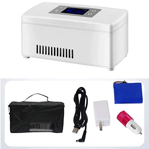 ZJHDX Refrigerador portátil eléctrico, frigorífico, congelador, frigorífico, congelador eléctrico (Size : A)