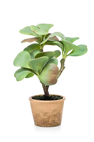 Artplants Set 4 x Planta Artificial de kalanchoe Mirari en Maceta Decorativa, Verde, 40cm - Kalanchoe Decorativa/Planta sintética