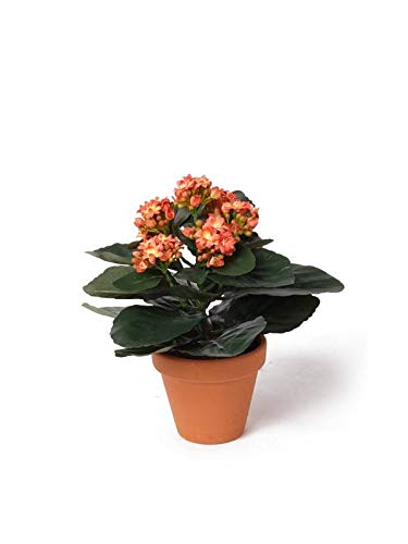 Artplants Set 8 x Planta Artificial de kalanchoe Videl en Maceta de Arcilla, Naranja, 25cm - Kalanchoe Decorativa/Planta sintética
