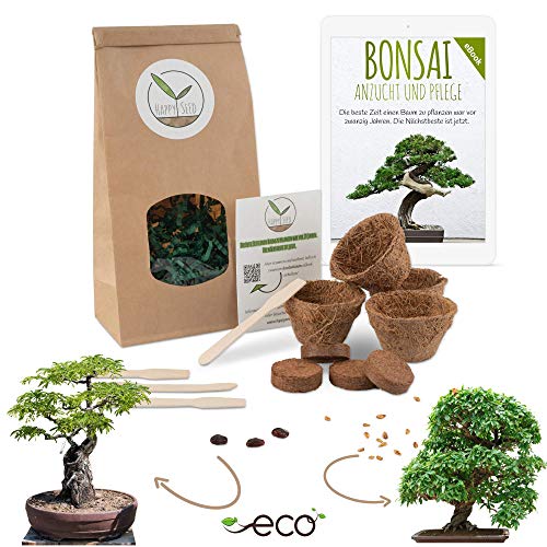 Bonsai Kit incl. eBook GRATUITO - Set con macetas de coco, semillas y tierra - idea de regalo sostenible para los amantes de las plantas (Granada Enana + Tamarindo)