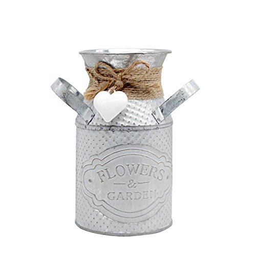 Brownrolly 2 jarras de metal vintage con asa, macetas de riego de barril, macetas decorativas para decoración de boda, hogar, bar, 2 unidades