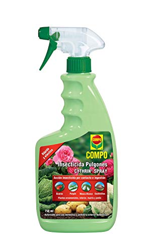 Compo Cytrhin Spray Insecticida Pulgón, para Plantas Ornamentales, de Interior, Huerta y jardín, Envase pulverizador, 750 ml Compo Cytrhin Spray Insecticida Pulgón, para Plantas Ornamentales, de Interior, Huerta y jardín, Envase pulverizador, 750 ml