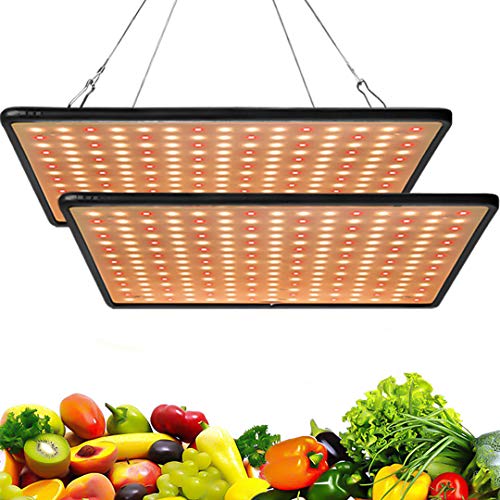 Greensindoor - Lámpara led para plantas (300 W, luz blanca cálida)