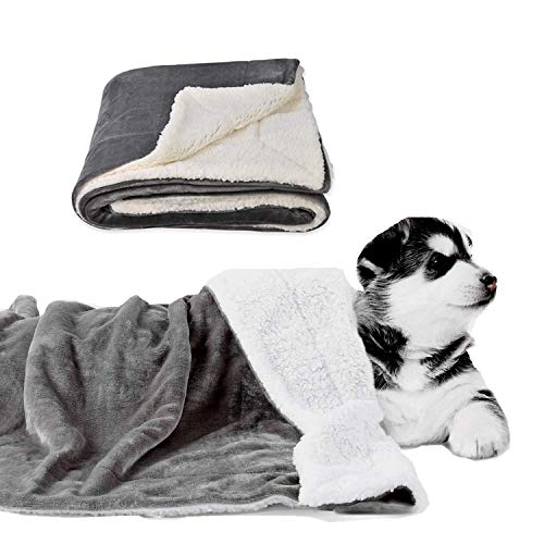 Guangyu Manta Impermeable para Perros Gatos Mascotas,Manta Lavable de Felpa,Antideslizante con Suave Sherpa para Sofá Coche Interior y Exterior (Gris) Guangyu Manta Impermeable para Perros Gatos Mascotas,Manta Lavable de Felpa,Antideslizante con Suave Sherpa para Sofá Coche Interior y Exterior (Gris)