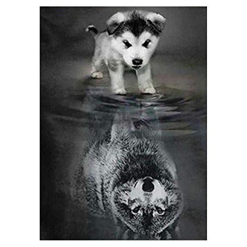 IPOO DIY 5D Diamante Pintura Kit Punto de Cruz Diamantes de Imitación Resina Redonda y Lienzo Preimpreso Diamond Painting Art Sala de Estar Dormitorio Decoración (Perro y Lobo,30x40cm) IPOO DIY 5D Diamante Pintura Kit Punto de Cruz Diamantes de Imitación Resina Redonda y Lienzo Preimpreso Diamond Painting Art Sala de Estar Dormitorio Decoración (Perro y Lobo,30x40cm)