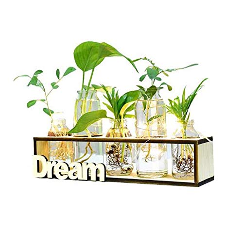 Jarrón de cristal personalizado, terrario de plantas con plantas, regalo de cumpleaños único para niña o esposa, decoración del hogar y la oficina, texto personalizado, luz LED (sueño con luz LED)