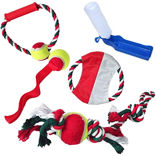 Juego de Juguetes Bola Cuerda sólido Frisbee + 1 Bebedero Viaje con BOTELLA, dog on tour. para perros medianos y perros pequeños. juegos de cachorros y educación Juego de Juguetes Bola Cuerda sólido Frisbee + 1 Bebedero Viaje con BOTELLA, dog on tour. para perros medianos y perros pequeños. juegos de cachorros y educación