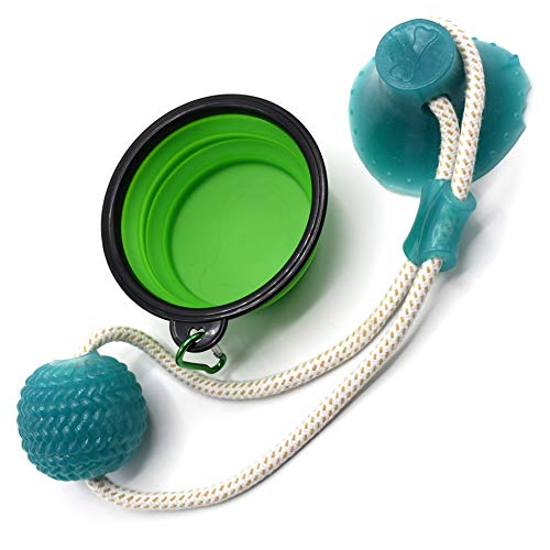 Kit canino: Pelota de Juguete para Perros + Bebedero. Bola con Ventosa Resistente a la masticación + Cuenco, comedero, Bebedero portátil Plegable de Viaje