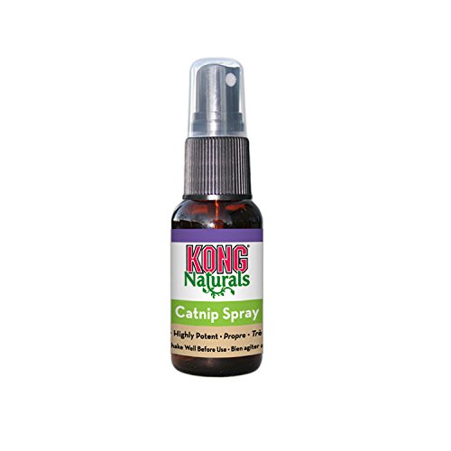 KONG - Naturals Catnip Spray for Cats - 30 ml (1 Onza fluida) KONG - Naturals Catnip Spray for Cats - 30 ml (1 Onza fluida)