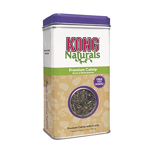 KONG - Naturals Premium Catnip - Hierba gatera de Cultivo norteamericano - 57 Gramos KONG - Naturals Premium Catnip - Hierba gatera de Cultivo norteamericano - 57 Gramos