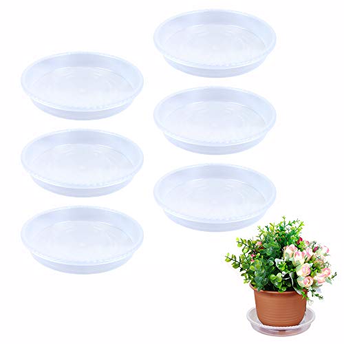 Outinhao 6 Piezas, PVC Bandeja Maceta Transparente, Platillos para Plantas de Interior y Exterior, Macetas Platos 15cm/25cm/30cm (15cm)