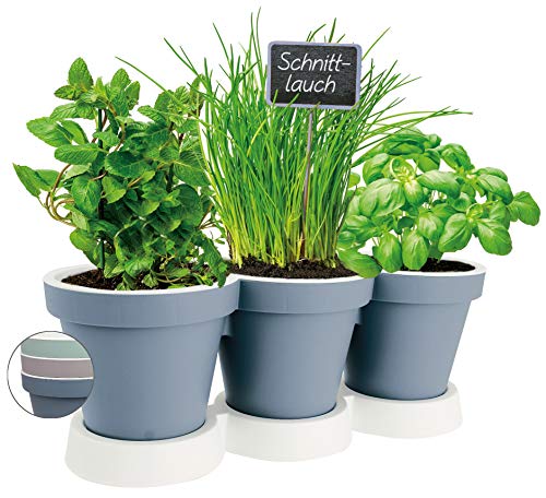 Pilix Maceta para hierbas de cocina, color azul grisáceo, 2 piezas, jardín de hierbas y balcón, macetas de plástico para hierbas aromáticas, jardinera para ventana, regalo de cocina