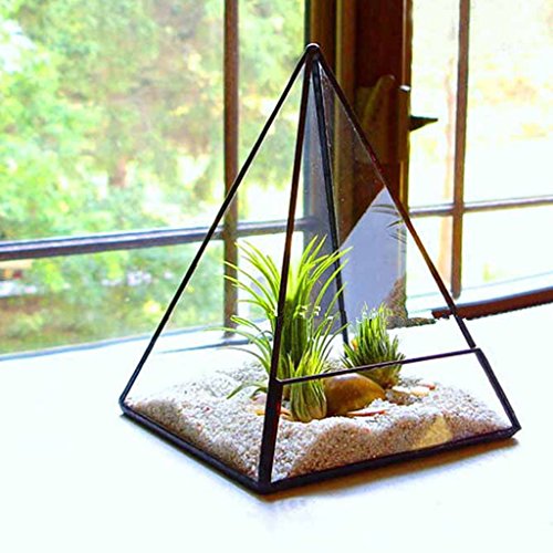 Terrario De Cristal Hada Musgo Miniatura Invernadero Jardín - Forma De La Pirámide