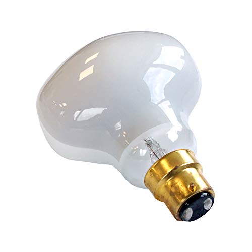 Testa Martello Colombo Spider - Bombilla LED con filamento (7 W = 75 W, B22, 900 lm, luz blanca cálida, 2700 K, regulable)