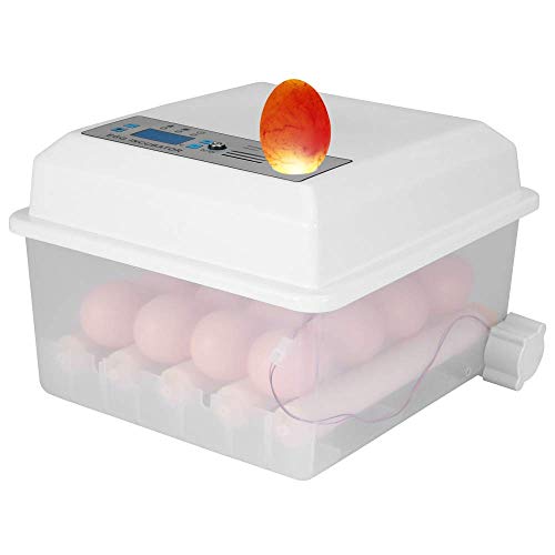 TTLIFE Incubadora de Huevos Hatcher de Volteo Automático 16 Huevos Mini kit Hogar Máquina Ajustable con Control de Temperatura Aves de Corral Juego Palomas Ave Pollo Pato Huevos Paloma