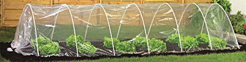 Túnel de cultivo transparente - Para fruta y verdura - 5 metros