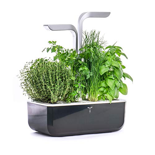 Véritable®- Huerta Interior Made in France - Cultivo en Interiores con Sistema de iluminación LED automático - Kit de 4 Lingots® Incluido (Smart, Soft Black) Véritable®- Huerta Interior Made in France - Cultivo en Interiores con Sistema de iluminación LED automático - Kit de 4 Lingots® Incluido (Smart, Soft Black)