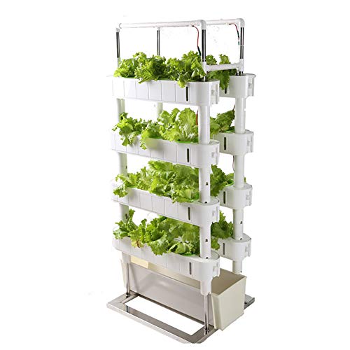ZDYLM-Y Kit de Cultivo Hidropónico con Temporizador y luz de Relleno, Torre de jardín Vertical para el hogar de 4 Capas, para macetas de Verduras