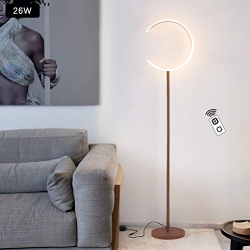 ACHNC Lámpara de Pie Salon Regulable, 26 Vatios Nórdica Moderna LED Lámpara de Suelo Con Control Remoto, 160 Cm Lámpara de Lectura Metal Luz de Piso Para Dormitorio