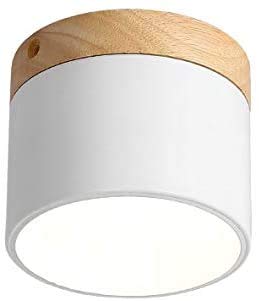 Aplique De Pared De Acero Inoxidable moderna minimalista 9W Downlight de superficie de techo nórdica ventana de la lámpara LED de fondo de la pared cilíndrica del proyector del techo lámpara del proye