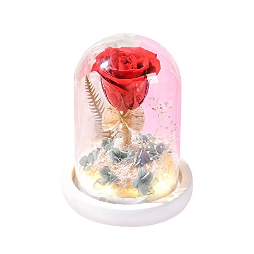 Forever - Lámpara de noche con luz LED, diseño de flor rosa MOSINITTY en una cúpula de cristal sobre base de madera, luz decorativa para lanniversario de boda de San Valentín