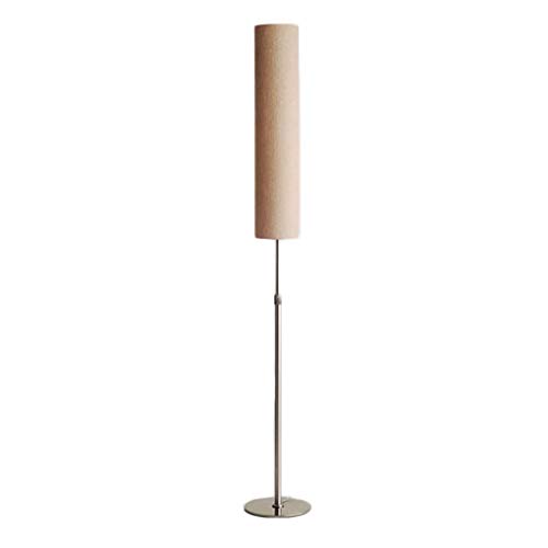 Lámpara de pie de Tela Simple Moderna nórdica Vertical Lámpara de pie de Hierro Forjado (Color : Beige, tamaño : Remote Light)