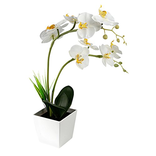 LEDMOMO 9 LED Lámpara de batería con lámpara de orquídeas Artificial en maceta con flores Decoración del hogar (Blanco)