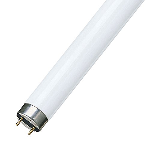 Philips - Lámpara fluorescente master tld super 80 18w/830 slv/25
