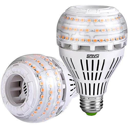 SANSI Bombilla LED E27, luz blanca cálida, 27 W (equivalente a una bombilla de 250 W), regulable, 3000 Kelvin, 4000 lúmenes, superbrillante, para lámpara de mesa, techo, garaje, dormitorio, 2 unidades