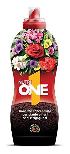 Nutri 1 One - Abono líquido concentrado para plantas y flores sanas y rebeldes. Con extractos de origen vegetal y microelementos, 1 litro Nutri 1 One - Abono líquido concentrado para plantas y flores sanas y rebeldes. Con extractos de origen vegetal y microelementos, 1 litro